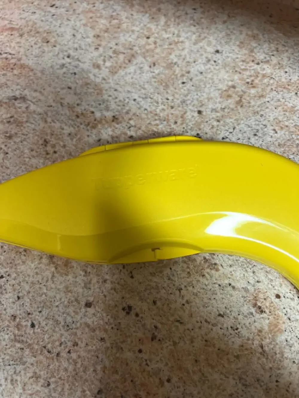 Tupperware Forget Me Not Hinged Banana Keeper Storage Container